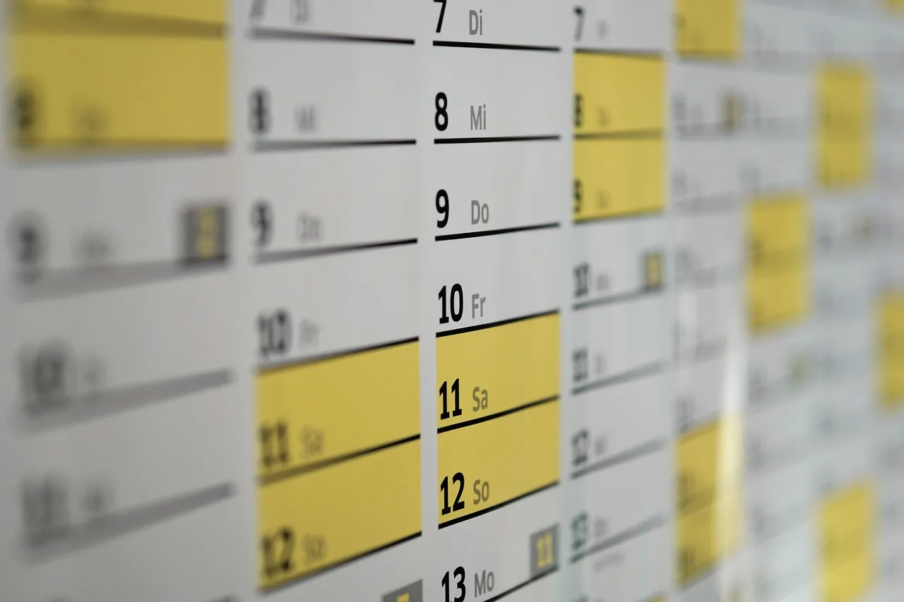 calendar, dates, schedule, days, wall calendar, year, meeting, office, planning, calendar, calendar, calendar, calendar, calendar, schedule, schedule. What to measure every month in a Youtube channel for a small operation